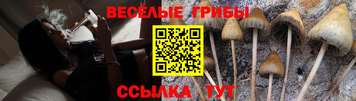 Кумертау  Псилоцибиновые грибы прущие грибы  Вход с VPN  наркошоп  Галлюциногенные грибы GOLDEN TEACHER 